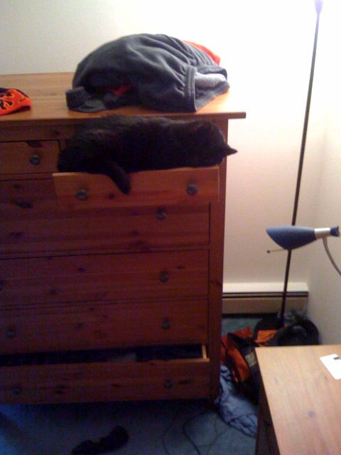 Trumpet's New Bed Trumpet's New Bed